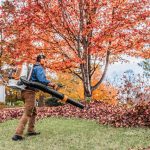STIHL BR 800 C-E MAGNUM®