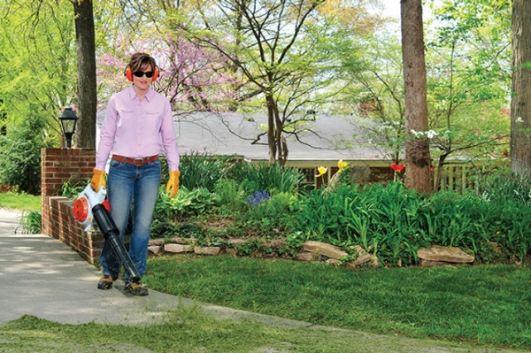 STIHL BG 66 L