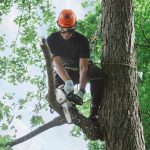 STIHL MS 151 T C-E