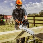 STIHL MS 250
