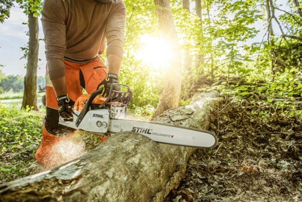STIHL MS 291