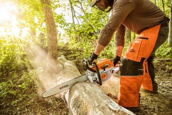 STIHL MS 291