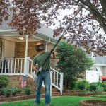 STIHL HTA 50