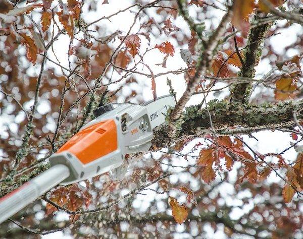 STIHL HTA 50