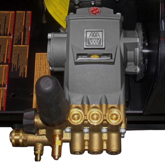 DEWALT 4200 PSI 4.0 GPM Gas Pressure Washer with Honda® Engine and AAA Triplex Plunger Pump (Tool Only)