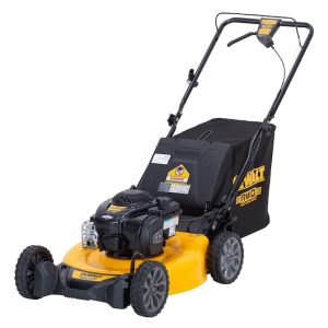 DEWALT 21 in. 150cc Self-Propelled RWD Lawn Mower DEWALT 21 in. 150cc Self-Propelled RWD Lawn Mower