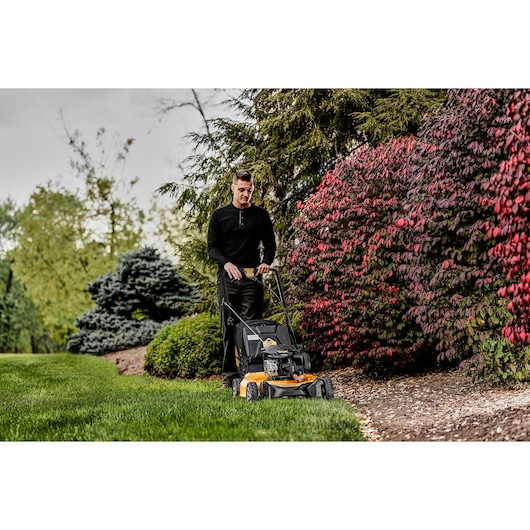 DEWALT 21 in. 150cc Self-Propelled RWD Lawn Mower