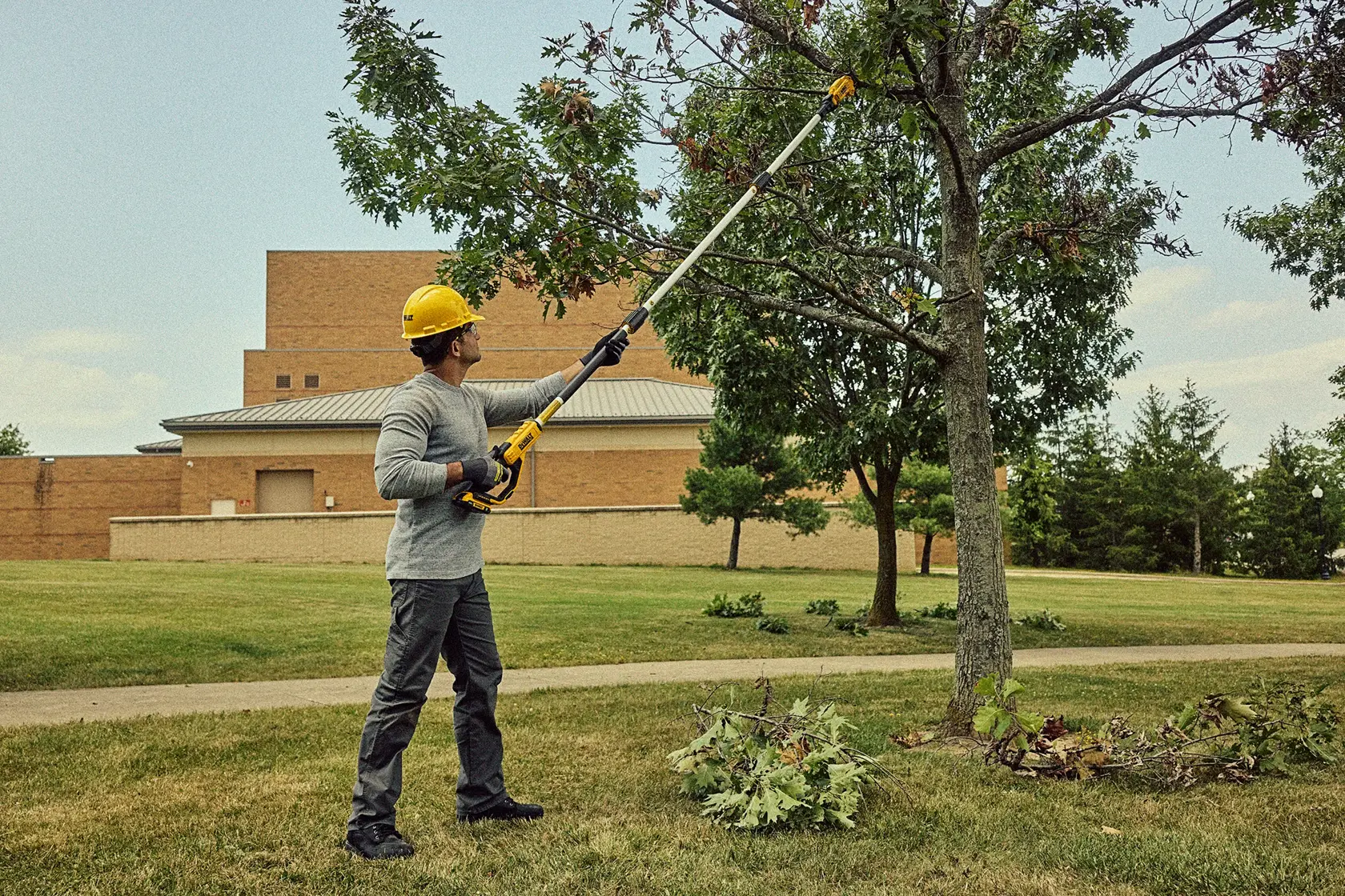 DEWALT® 20V MAX* 1-1/2-in. Cordless Pole Pruner (Tool Only)